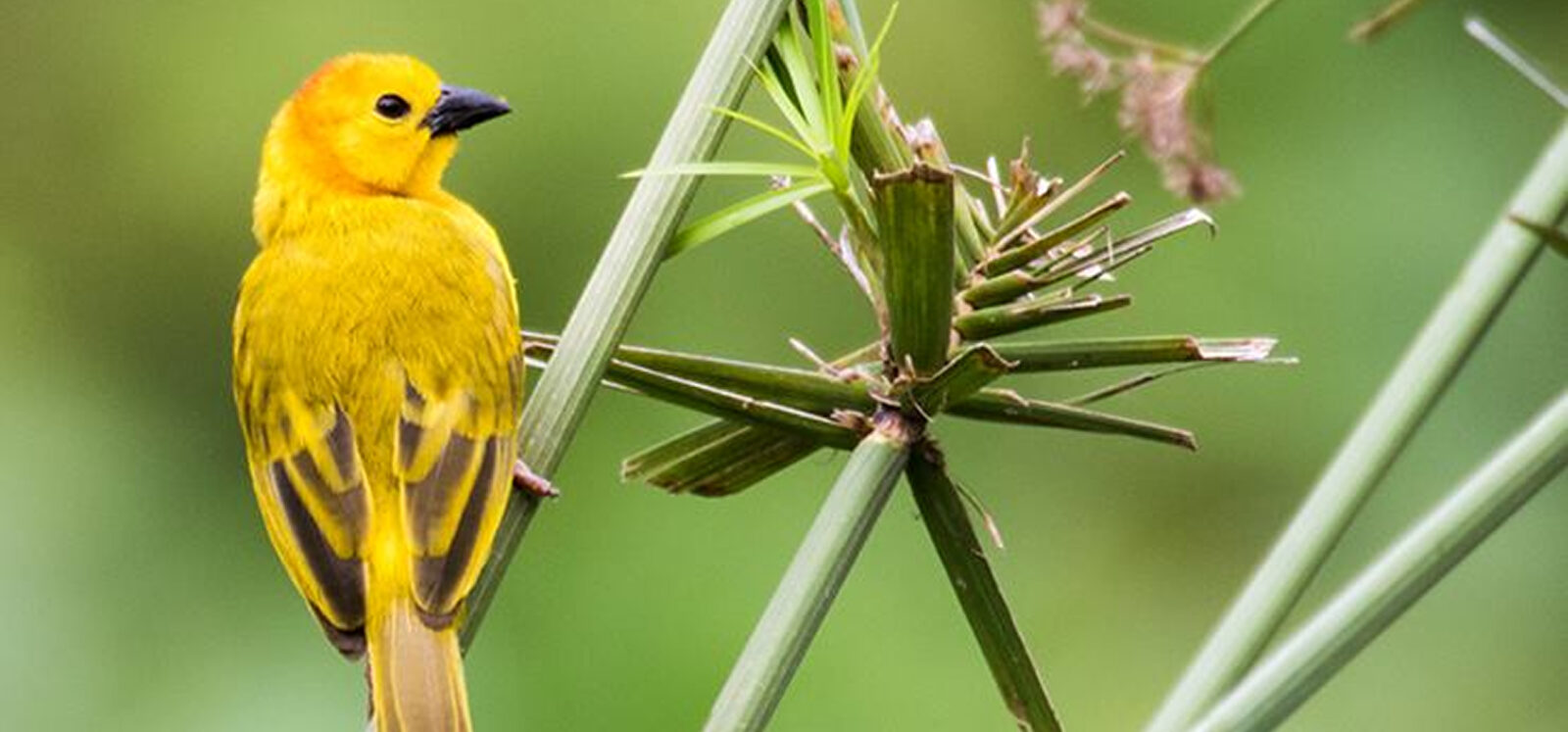 Место проведения